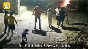 印度,開車,狗,道歉,捅死（圖／翻攝自梨視頻）