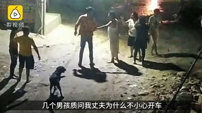 撞到狗拒向牠道歉　駕駛被連捅6刀亡
