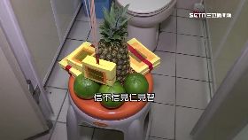 廁所也拜神1800