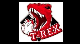 ▲米迪亞暴龍因為假球案遭中華職棒停權。（圖／截自網路）