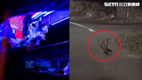 布袋戲、雨傘節纏鬥／蕭煒仁掌中戲劇團授權提供