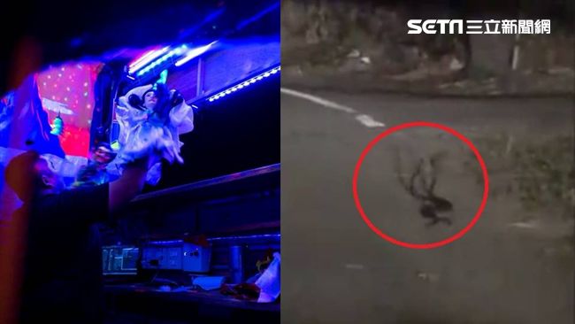 驚見兩蛇纏鬥　他曝看到恐出事禁忌