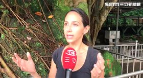 李珊珊,辱罵,三字經,傷害,法律追訴權,