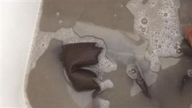 不少人都有一條從小到大專屬的「小被被」，甚至還堅決不讓媽媽拿去洗，就怕「小被被」的味道跟觸感變得不一樣。一名男網友分享自己20年未洗的「小被被」，日前他下定決心清洗，結果整缸的清水瞬間被染黑。不少網友看到後，紛紛驚呼「這是…水溝水嗎？」（圖／網友呂宗曄授權提供）