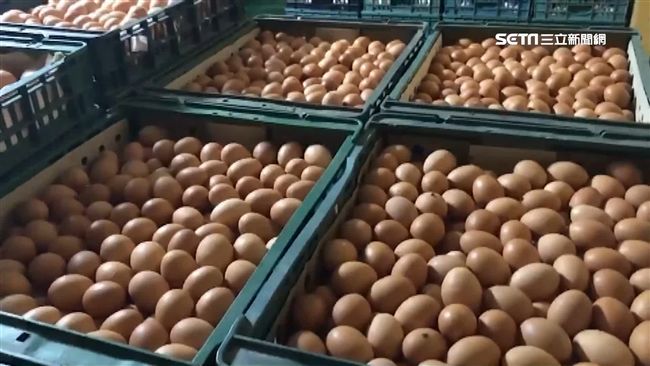 頻傳食安危機！記下十點讓你安心吃蛋