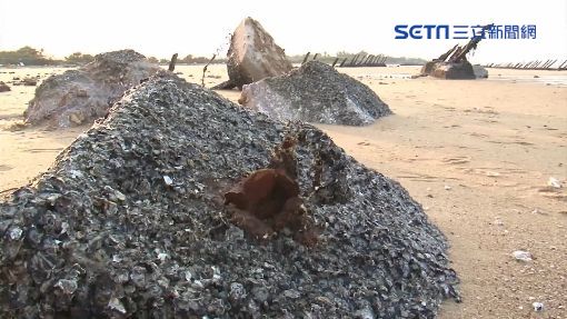 戰地遺產遭毀！金門「軌條砦」大斷裂