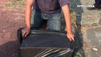 寵物樂園害死法鬥棄屍　店家下跪道歉