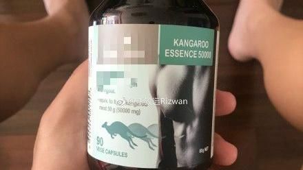 袋鼠精壯陽？陸客狂掃　專家：恐殺精