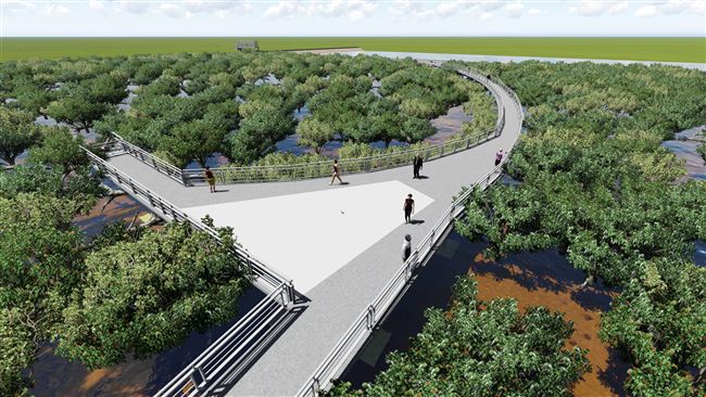 芳苑溼地紅樹林　擬蓋海空步道吸遊客
