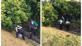 悚！陰陽兩界也服務？議員內急驚見榕樹白骨吊屍