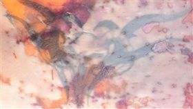 海堤驚見女浮屍　後腰刺青待指認苗栗縣通霄警分局11日指出，接獲民眾報案指稱，新埔車站後方50公尺處海堤消波塊內有一具女性浮屍，死者身上未發現身分證明物品，身體腰後方有一幾何圖形刺青，成為指認重要線索。（翻攝照片）中央社記者管瑞平傳真　107年10月11日