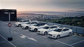 Volvo車系(圖/翻攝網路)