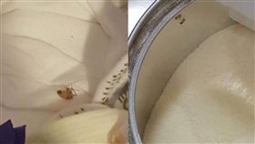 兒子,褓母,蟑螂,小強,健康,／翻攝爆怨公社