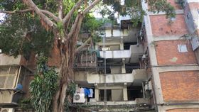 風光不再　南機場由繁榮走向落寞南機場整宅已經有逾50年的歷史，四周長滿壁癌的牆壁、骯髒烏黑不見光的走道，年久龜裂的屋頂只要下雨天，就會滴滴答答直漏水，現在的南機場就像個髒亂不堪的大違建，隨著時代的變遷，充滿歷史痕跡與時代意義的南機場，也面臨了人口老化、弱勢社區等難題。中央社記者林孟汝攝　106年9月30日