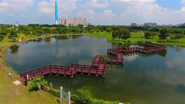 濕地公園成效佳　稀有台灣水雉築巢