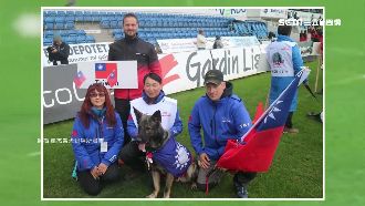台狼犬狗奧運爭光　回台竟遭扣留機場