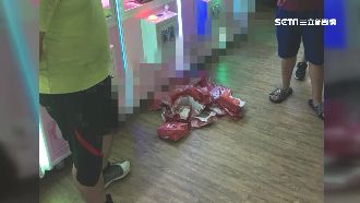 娃娃機有愛瘋？男砸6千清檯摃龜怒告