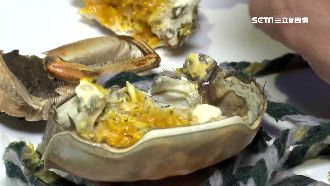 飯店推大閘蟹吃到飽！吃4隻就回本