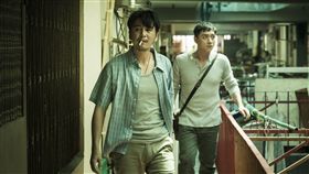 人面魚（威視提供）