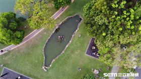 中興大學台灣池／部落客《徐酸酸的跑跳人生》授權提供