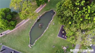 超可愛「台灣池」　環島只要10秒！