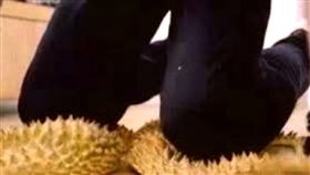 罰跪,跪榴槤,跪,分手,懷孕,流產,分手,協議,起訴,提告,大陸,浙江,中國　圖／翻攝自微博