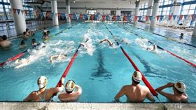 泳池有多少尿液？可能有491升 奧運選手：大家都直接尿...很正常（圖／PIXABAY）