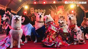 台南,2018台南關子嶺溫泉美食節,浴衣,溫泉