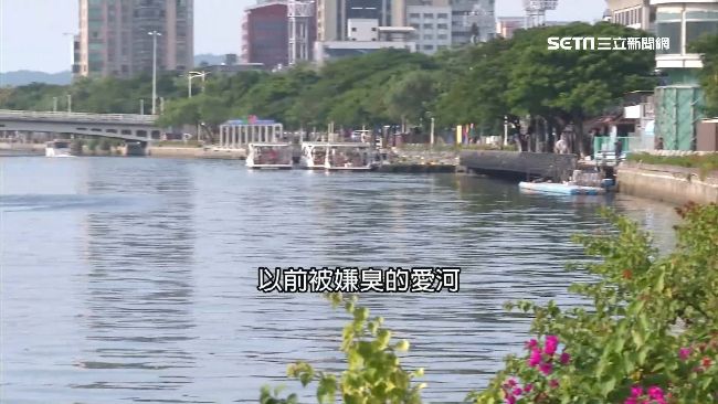 議員跳愛河撈魚？高雄政壇有名笑話…