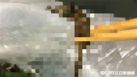 網友夾小菜發現吃到海馬。（圖／取自臉書社團爆怨公社）