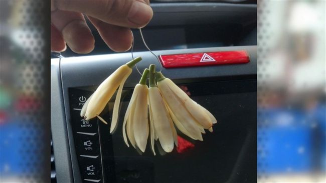 玉蘭花價格直逼便當　他買完懷疑人生