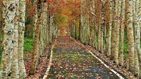 （圖／Tripbaa趣吧！亞洲自由行專家）