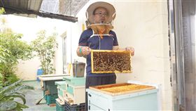 城市養蜂營造人蜂友善空間 打造頂樓甜蜜事業