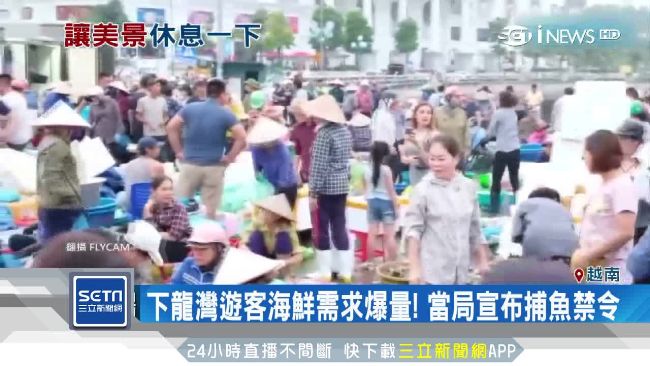 救生態、棄觀光！越南下龍灣設禁漁令