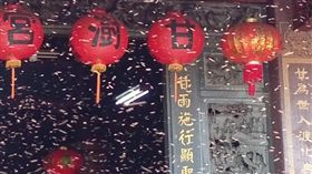 媽祖,甘露媽,蜜蜂（圖／翻攝自甘露媽永靖甘澍宮臉書）