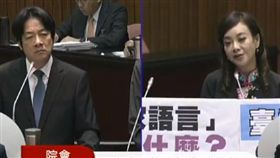 民進黨立委蔣絜安質詢行政院長賴清德,何謂台語?(圖/截取直播)