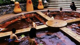 重慶推出「紅湯火鍋溫泉」　辣妹變人肉底料：很減肥～（圖／中新網）