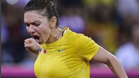 哈莉普。（圖／翻攝自哈莉普IG）