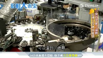 隱形冠軍！MIT保險絲市佔穩居第一