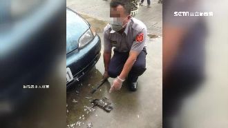 曾幫斑鳩脫困　暖警撐不過情關自戕