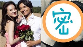 舒淇，馮德倫（圖／翻攝自林心如微博、IG)