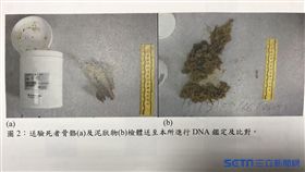 法醫所，港女箱屍命案，潘女，懷孕，小骨頭，檢體。潘千詩攝影