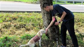 小狗米格魯當樹醫生　偵查林木褐根病菌林務局嘉義林區管理處邀請訓練師團隊帶著米格魯犬到樹林銀行擔任樹醫生，偵查林木的褐根病菌，指認出疑似染病的林木，採集樣本後送實驗室確診，及早診治處理。（嘉義林區管理處提供）中央社記者黃國芳傳真　107年10月17日