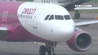 樂桃抵台飛返日本　客怒：轉降不給下