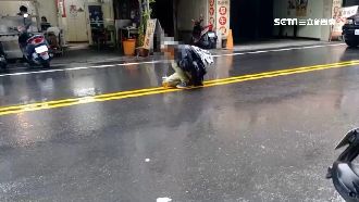 「肚子餓走不動」20歲男跪路中求助