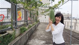 台中市城食森林農夫學院　打造都市農園