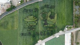 台南好米季稻田彩繪 日本群馬寶寶亮相