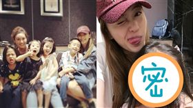 小小春,小泡芙,應采兒/翻攝自應采兒IG