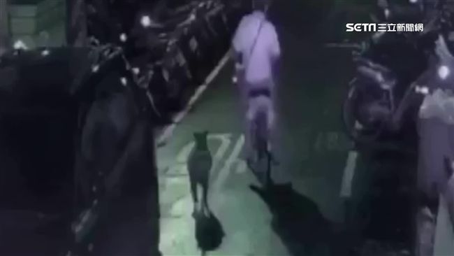 狗亂咬人被潑漆　飼主怒持刀狂刺奪命