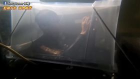 網紅挑戰泡在水中十小時。（圖／翻攝自SorryBoner臉書授權）